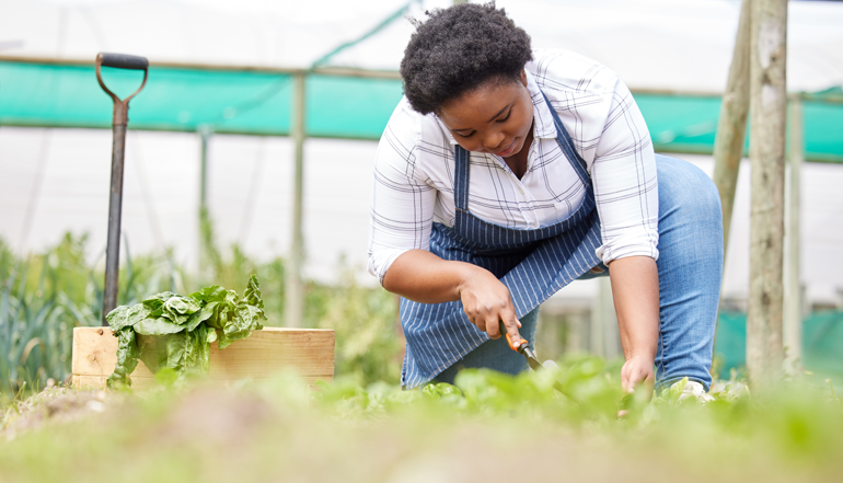 Plant Nursery – Growing Tomorrow’s Gardens